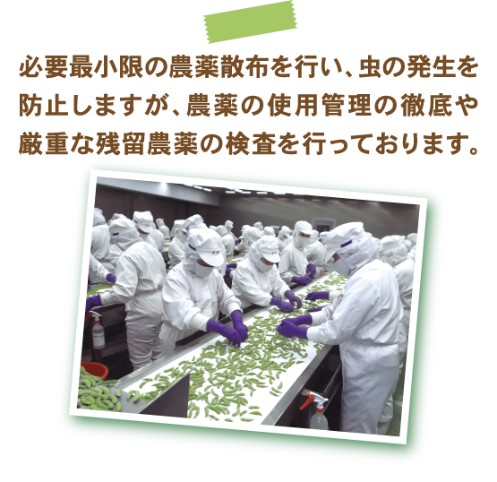 農薬の使用管理の徹底・検査